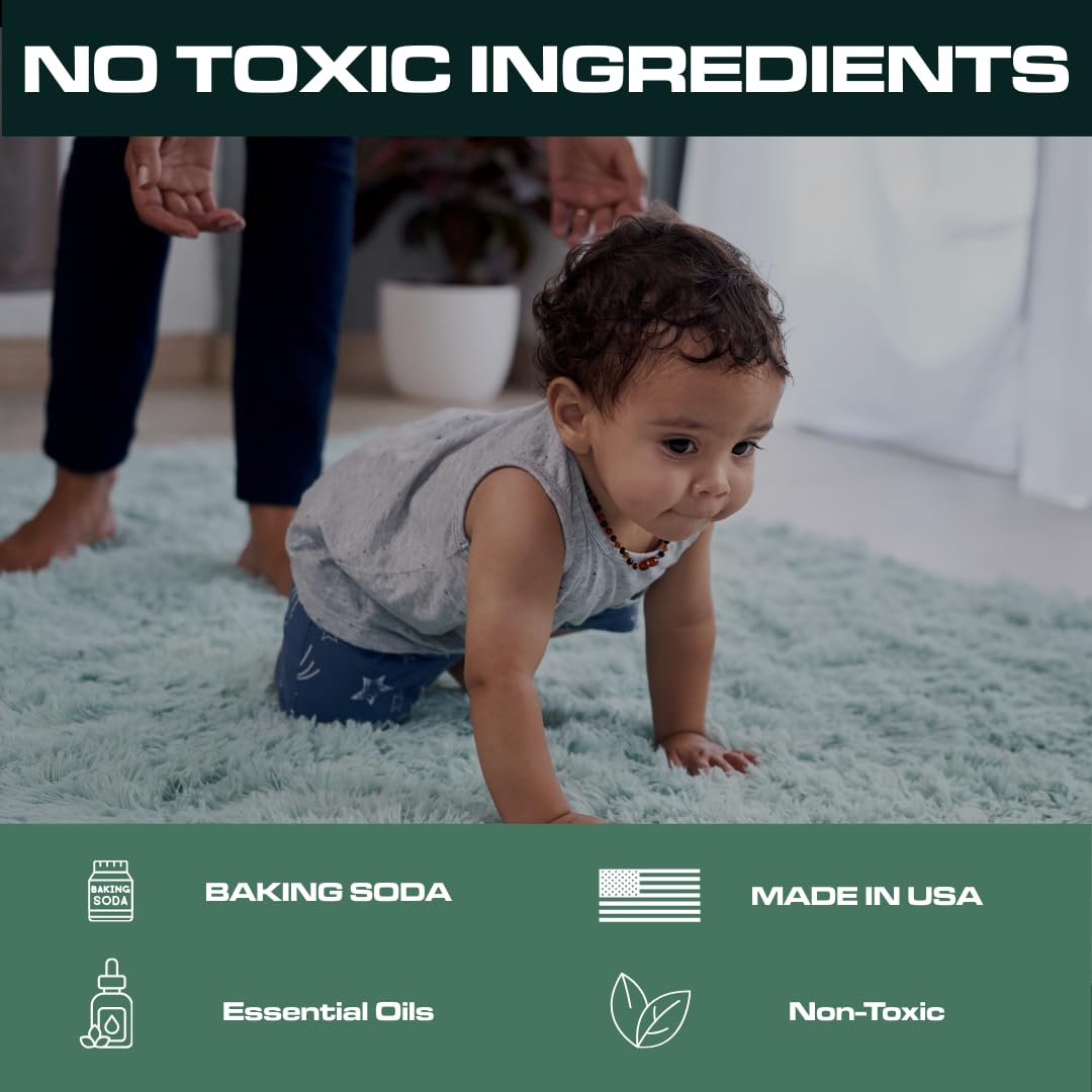 Ripclean Carpet Deodorizer & Freshener Cleaning Powder, Odor Eliminator for Strong Odors & Homes w/Pets, Safe around Kids & Pets, Use on Carpet, Rugs