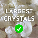 Greek Mastic Gum Chios Tears ??????? Greece (Pistacia Lentiscus) - Fresh & Premium Quality - Large Tears (20 Grams)