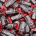 Special Dark Chocolate Bars Mini 2 lb - Individually Wrapped Snack Size Candy, Mildly Sweet Chocolate, Bulk
