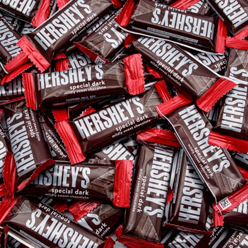 Special Dark Chocolate Bars Mini 2 lb - Individually Wrapped Snack Size Candy, Mildly Sweet Chocolate, Bulk