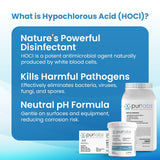 PurTabs Disinfectant Tablets, NSF D2 Certified Food Safe, Hypochlorous Acid Commercial Kitchen & Surface Sanitizer, Kills Norovirus & C. Diff Spores