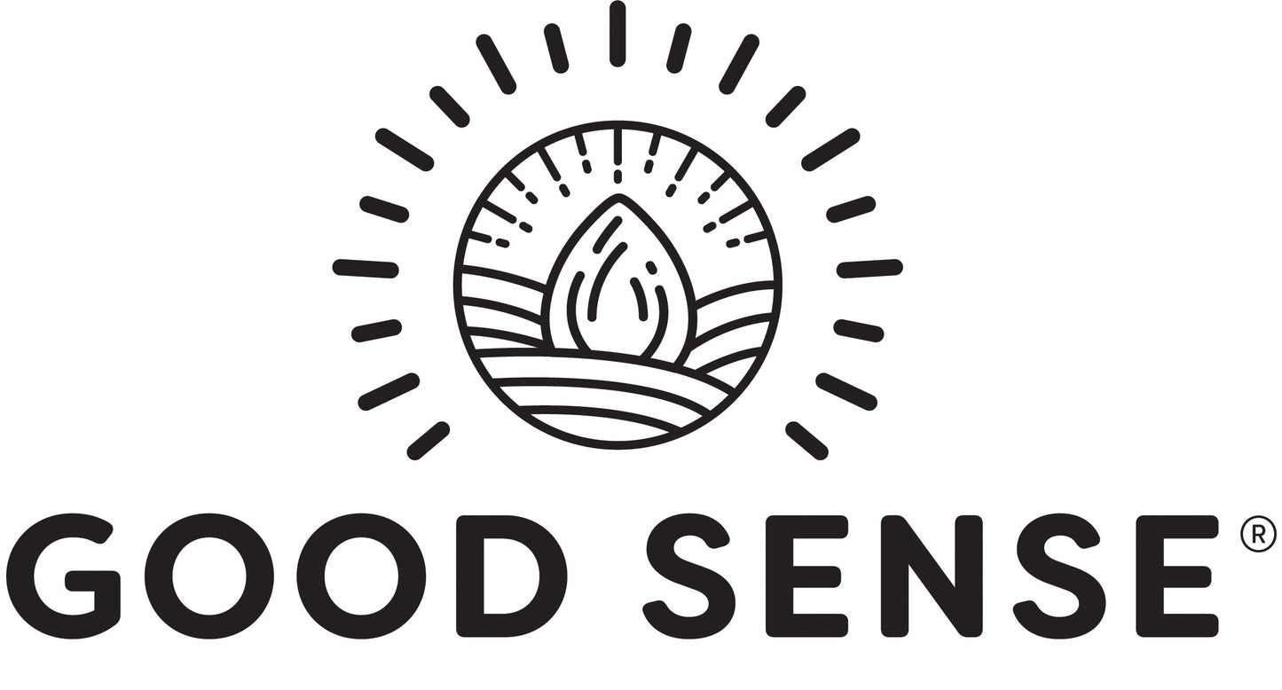 Good Sense Shelled Pumpkin Seeds (Pepitas), Honey Roasted Honey Roasted 6 Ounce