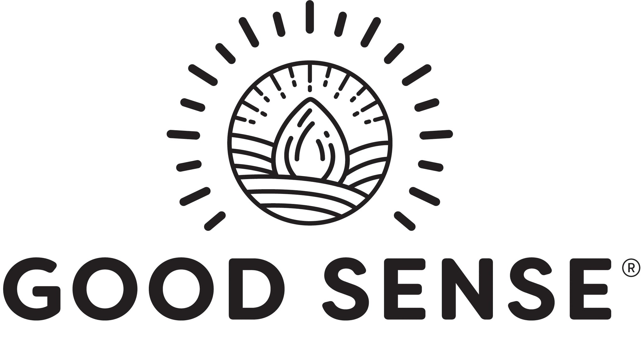 Good Sense Shelled Pumpkin Seeds (Pepitas), Honey Roasted Honey Roasted 6 Ounce