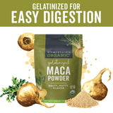 Viva Naturals Organic Maca Powder, Gelatinized, 8 oz - Vegan, USDA Organic, Gluten-Free, Non-GMO Peruvian Superfood in Resealable Bag