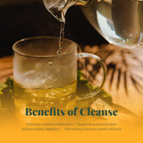 Life by Sublime - Cleanse USDA Organic Mint Green Tea & Yerba Mate, 20 Tea Bags, Naturally Caffeinated Detox Tea, Supports Digestive and Immune