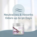 SMELLS BEGONE 14oz Crystal Odor Eliminator - Absorb & Eliminate Odors in Homes, Offices, Bathrooms, Basements, Garage, Cars, RVs & Boats - Remove