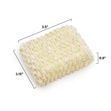 Genuine Fred Top Scrub - Ramen Sponge, Multicolored
