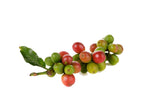 Miscela D'Oro Natura - Organic Fairtrade Espresso Beans, 2.2 lbs