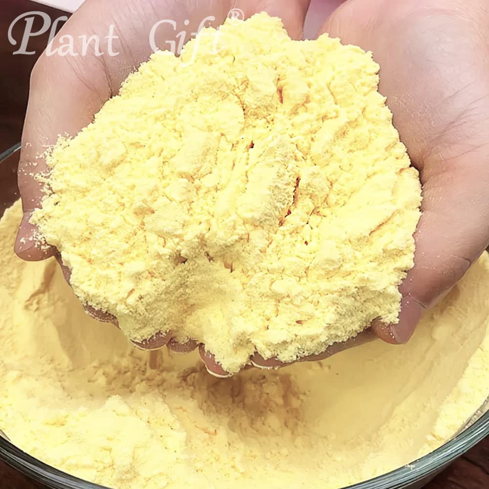Plant Gift 100% Pure Corn Powder ??? Natural Powder, Great Flavor for Drinks, Smoothie, Yogurt, Baking, Cookies, Cakes and Beverages, Quick Cooking
