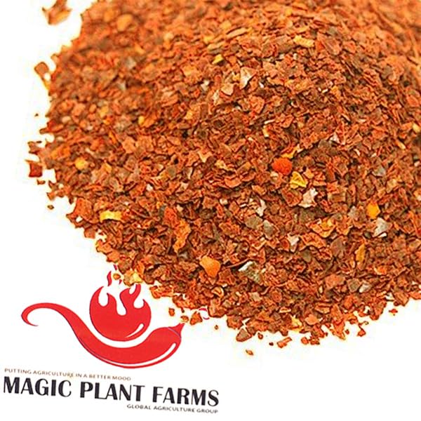 Orange Datil Pepper Powder by Magic Plant, 1 Kg Bulk - 200K-400K SHU | Rare Sweet Heat with Tangy Fruity Flavor | Pure Fine Ground Chili for Creative