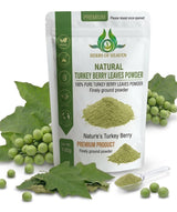 100g Turkey Berry Leaves Powder Dried Healthy Well Cleaned Leaves - Pure & Natural Turkey Berry Leaves Cultivated From Sri Lanka