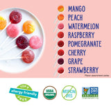 YumEarth Organic Pops Variety Pack, 40 Fruit Flavored Favorites Lollipops, Allergy Friendly, Gluten Free, Non-GMO, Vegan, No Artificial Flavors or