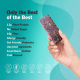 Amrita Nut Free Vegan Protein Bars Variety Pack (12 Bars, 6 Flavors) | 12g Plant Based Protein Bars | Peanut Free, Gluten Free, Dairy Free | Soy Free