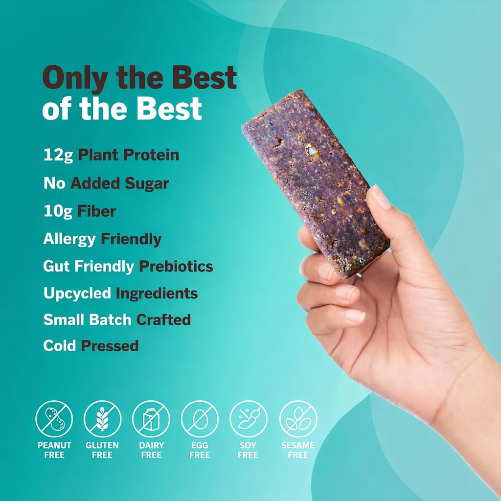Amrita Nut Free Vegan Protein Bars Variety Pack (12 Bars, 6 Flavors) | 12g Plant Based Protein Bars | Peanut Free, Gluten Free, Dairy Free | Soy Free