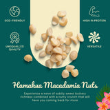 Hamakua Macadamia Nuts - No Salt Baking Macadamias (1.25 lb) - Natural Eco-Friendly Large Hawaiian Grown Dry Roasted Half and Whole Macadamias
