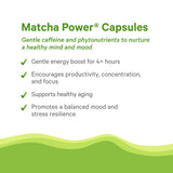 PURE SYNERGY Matcha Power | Organic Matcha Green Tea Capsules | Ceremonial Grade Supplement with EGCG | for Enhanced Energy & Alertness (90 Capsules)