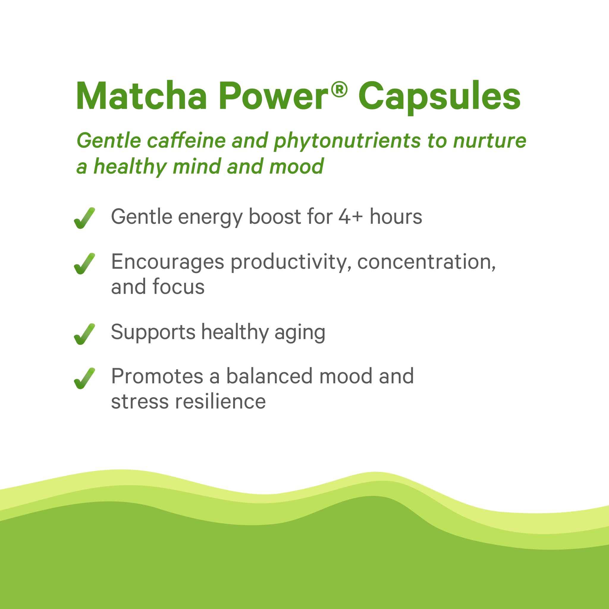 PURE SYNERGY Matcha Power | Organic Matcha Green Tea Capsules | Ceremonial Grade Supplement with EGCG | for Enhanced Energy & Alertness (90 Capsules)