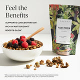 SAKARA Plant-Based High-Protein Granola Mix - Nutrient-Rich Ingredients, Vegan, Gluten-Free, Non-GMO, No Sugar Granola, Supports Satiation and Boosts