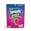 Nerds, Juicy Gummy Clusters, Strawberry Punch, Juicy and Gummy Candy, 1 Stand up Bag, for Snacking and Sharing, 7.2 Ounce