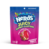 Nerds, Juicy Gummy Clusters, Strawberry Punch, Juicy and Gummy Candy, 1 Stand up Bag, for Snacking and Sharing, 7.2 Ounce