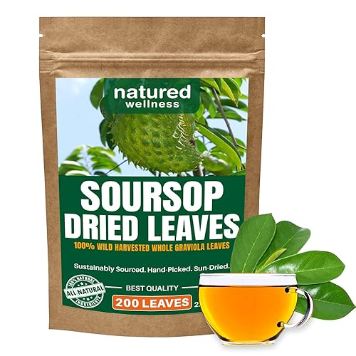 Premium Guanabana Soursop Dried Leaves 200+ Hojas De Guanabana - Wildcrafted Graviola Leaf - 100% Natural Caffeine-Free Herbal Tea Loose Leaves