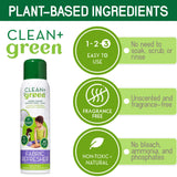 Green+Clean Natural Fabric Pet Refresher Spray - Carpet Cleaner, Cleans Kitty Litter and Dog Poop from Carpet, Upholstery, and More - Couch Cleaner