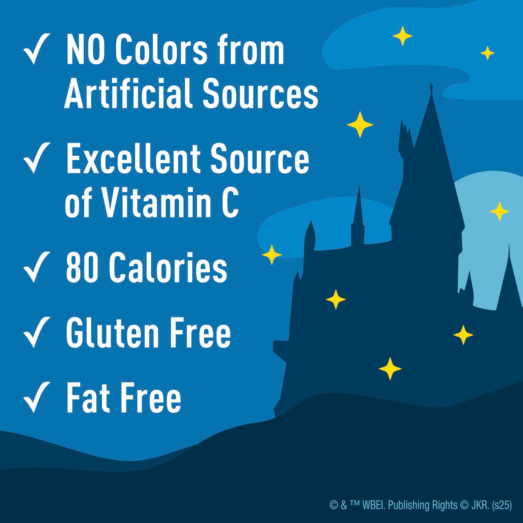 Harry Potter Fruit Flavored Snacks, Fat Free and Gluten Free Snacks, 17.6 oz (22 Pouches)