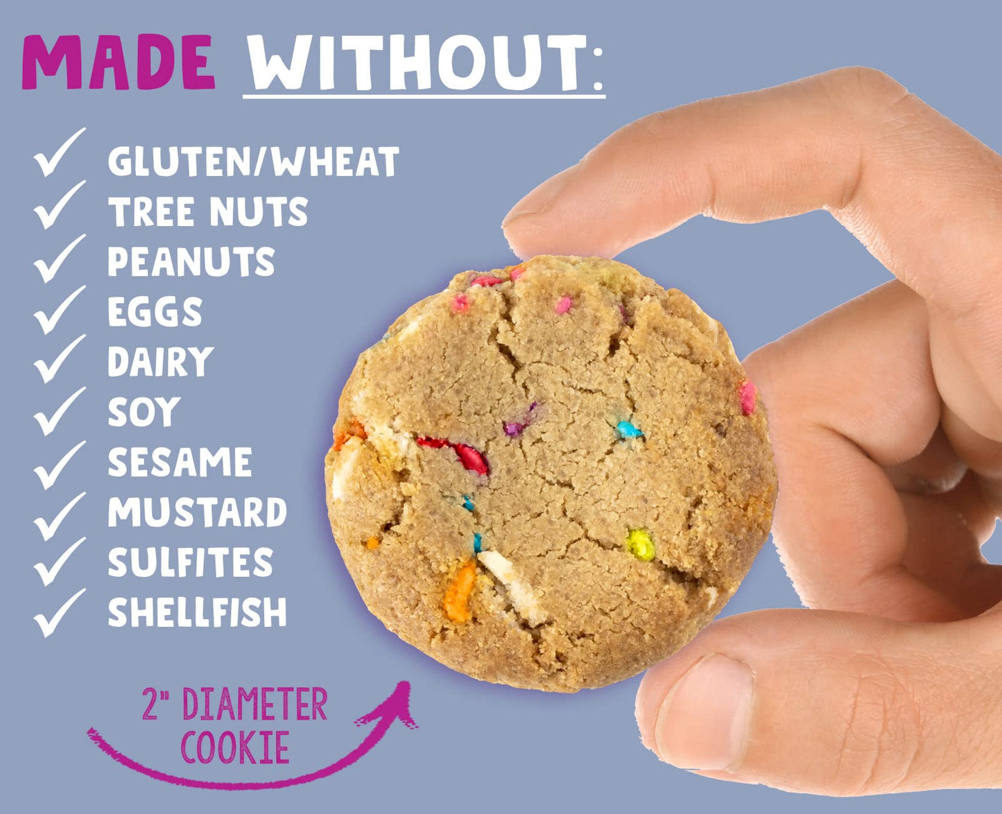 Allergy Smart Crunchy BIRTHDAY CAKE Cookies | Gluten Free, Nut Free, Egg Free, Dairy Free, Kosher, Celiac Safe | Delicious Vegan School Snack for Kids