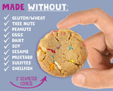 Allergy Smart Crunchy BIRTHDAY CAKE Cookies | Gluten Free, Nut Free, Egg Free, Dairy Free, Kosher, Celiac Safe | Delicious Vegan School Snack for Kids