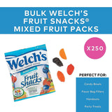 Welch's Fruit Snacks Mixed Fruit, 250 Count