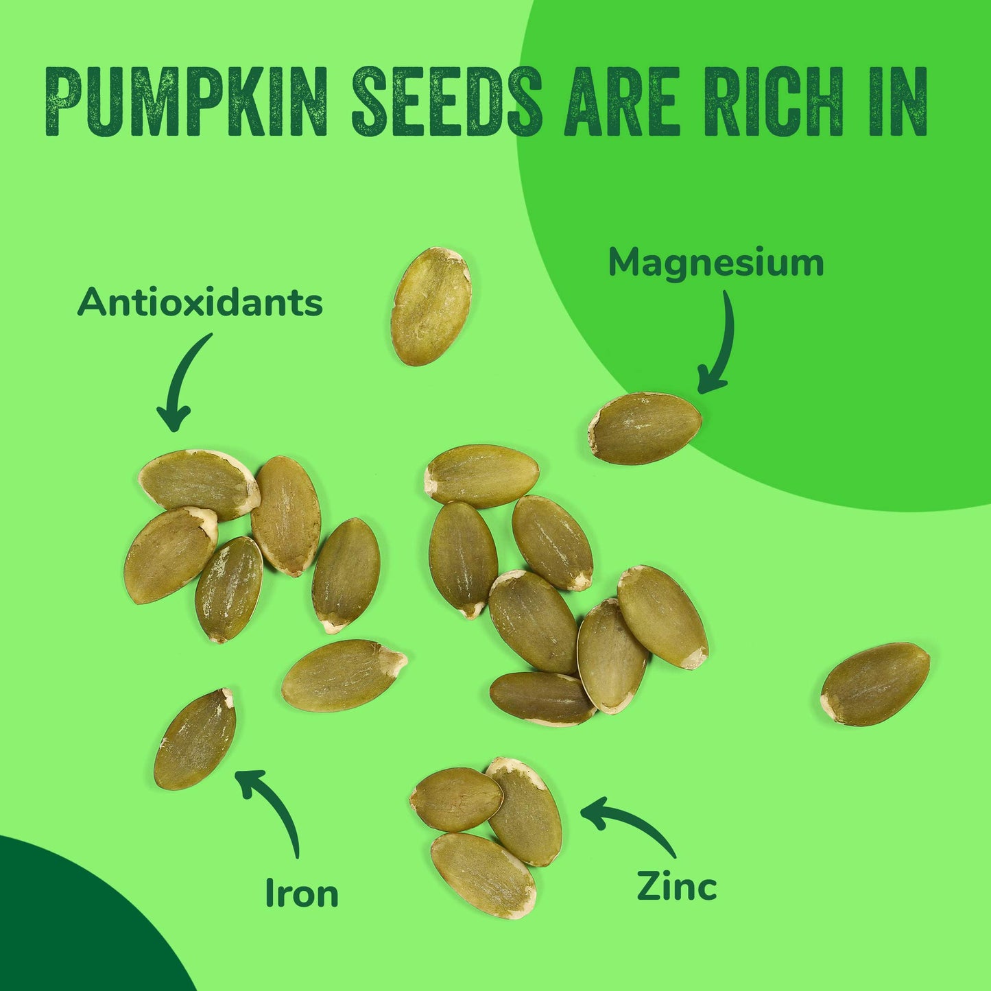Oven Toasted Pumpkin Seeds with Sea Salt (Papitas) 16 oz (1 lb) Batch Tested Gluten & Peanut Free | No Oils | No PPO | Non GMO | Vegan and Keto