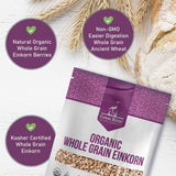 Great River Milling Einkorn Wheat Berries | Whole Grain Ancient Wheat | Non-GMO, High-Protein, Kosher | Mill at Home as All-Purpose Flour Alternative for Baking & Cooking | 5 Lb