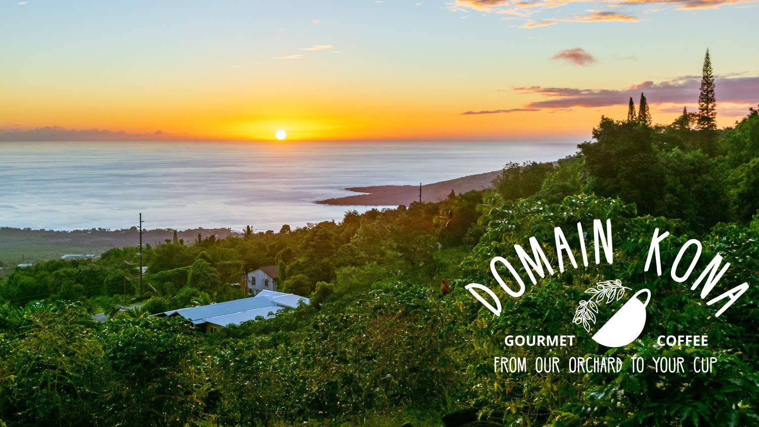 100% Kona Coffee PEABERRY - Whole Bean, Almost Dark roast, Single estate gourmet coffee, 16 ounces, ships direct from Domain Kona Coffee, farm fresh