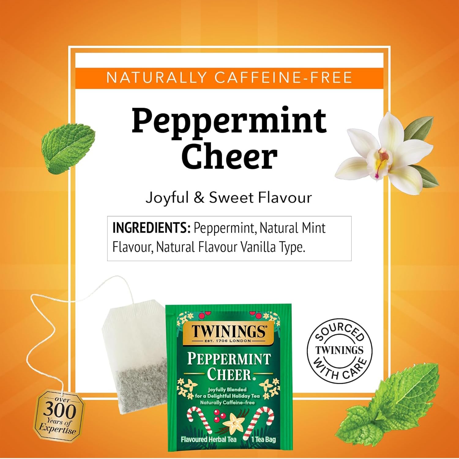 Twinings Tea, Peppermint Cheer 2-Pack, Naturally Caffeine-Free and Vanilla Flavoured Herbal Tea Bags, Individually Wrapped, 20 Count Each