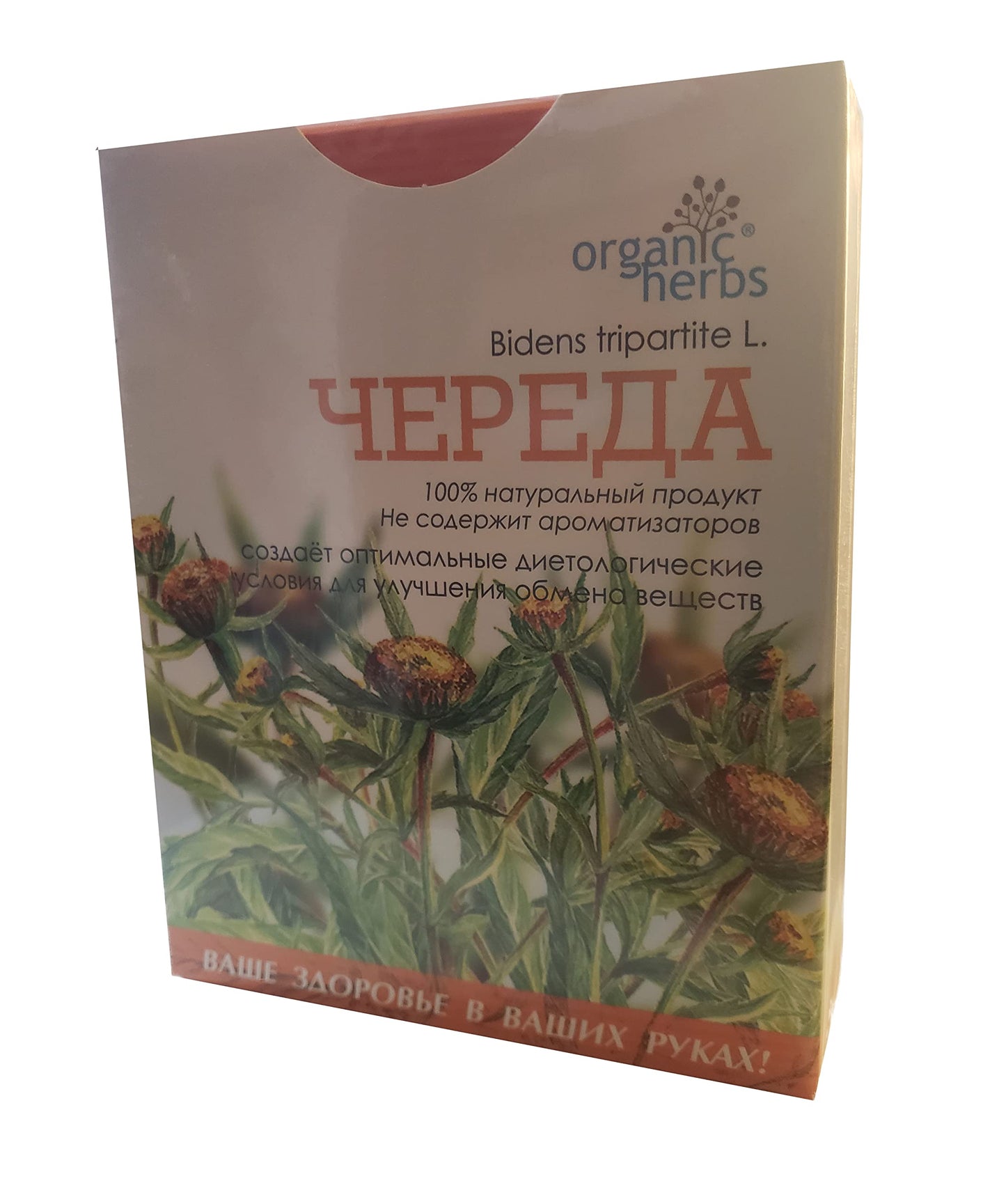 Bidens Tripartita (??????) Herbal tea, 50 grams - 1.7 oz, loose herb, (BEGGARTICKS | TRIFID BUR-MARIGOLD) by Organic herbs (1)