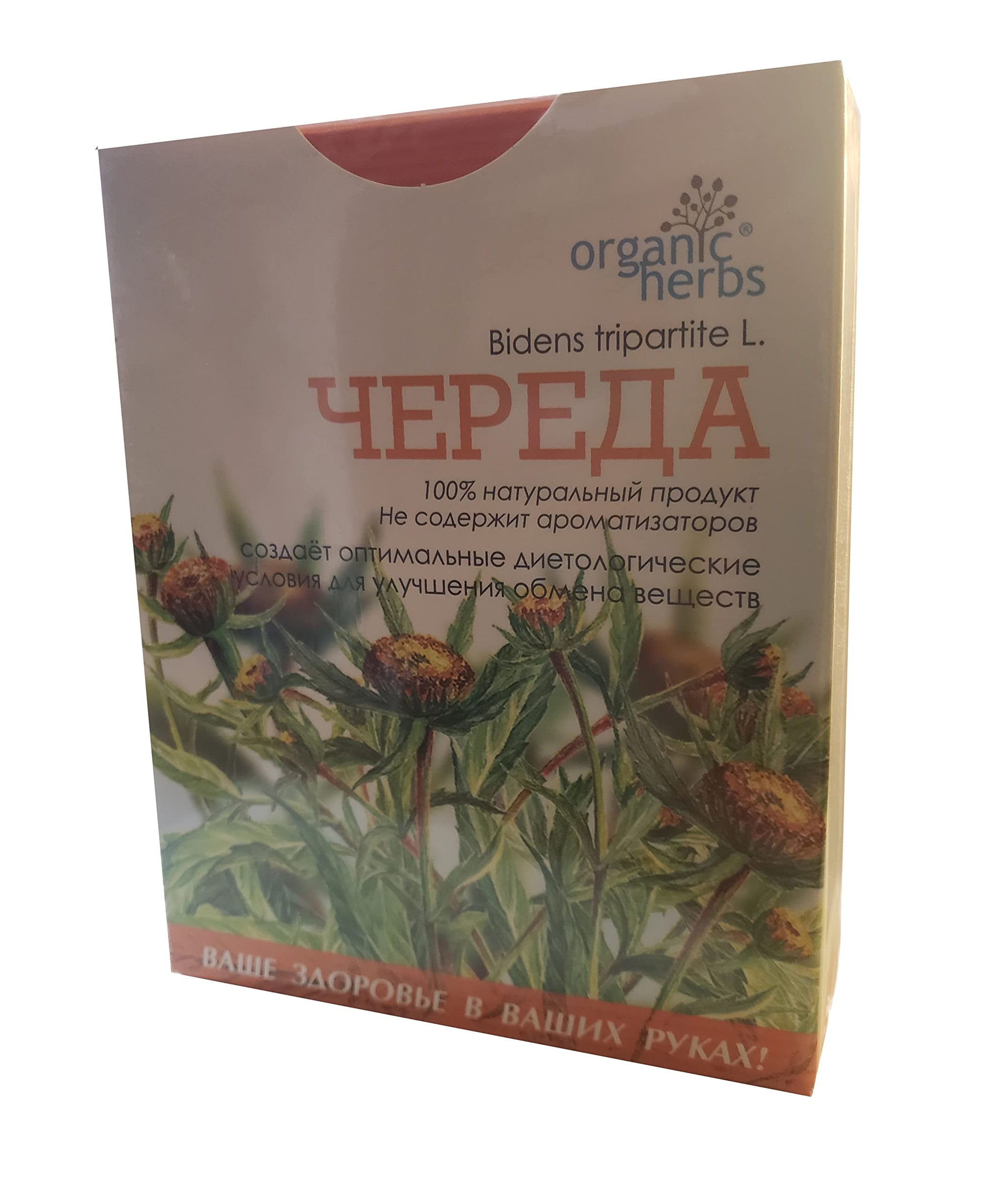 Bidens Tripartita (??????) Herbal tea, 50 grams - 1.7 oz, loose herb, (BEGGARTICKS | TRIFID BUR-MARIGOLD) by Organic herbs (1)