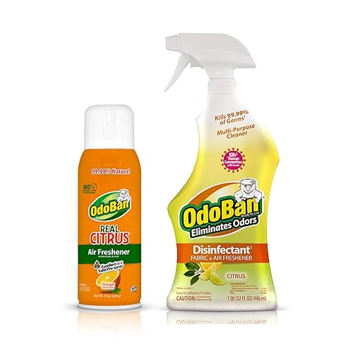 OdoBan 360-Degree Continuous Spray Natural Oil Real Citrus Orange Air Freshener, 10 Ounce, and Multipurpose Disinfectant Cleaner, 32 Ounce Spray, Made