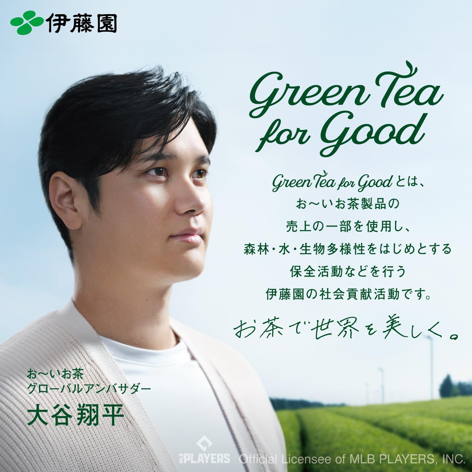 Itoen Genmaicha (Brown Rice Tea) Matcha Blend Premium Bag 2.3g Pack of 50