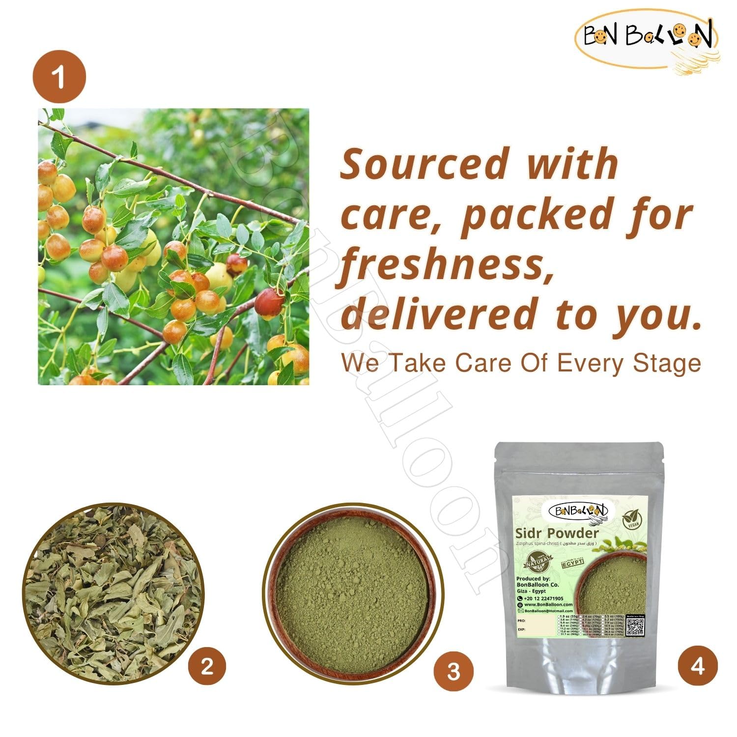 Wholesale Sidr Leaf Powder Leaves For Body And Hair Care (Lotus Jujube Tree Ziziphus Spina Christi Crest Gulshin) Herbs No Preservatives Non Gmo Halal