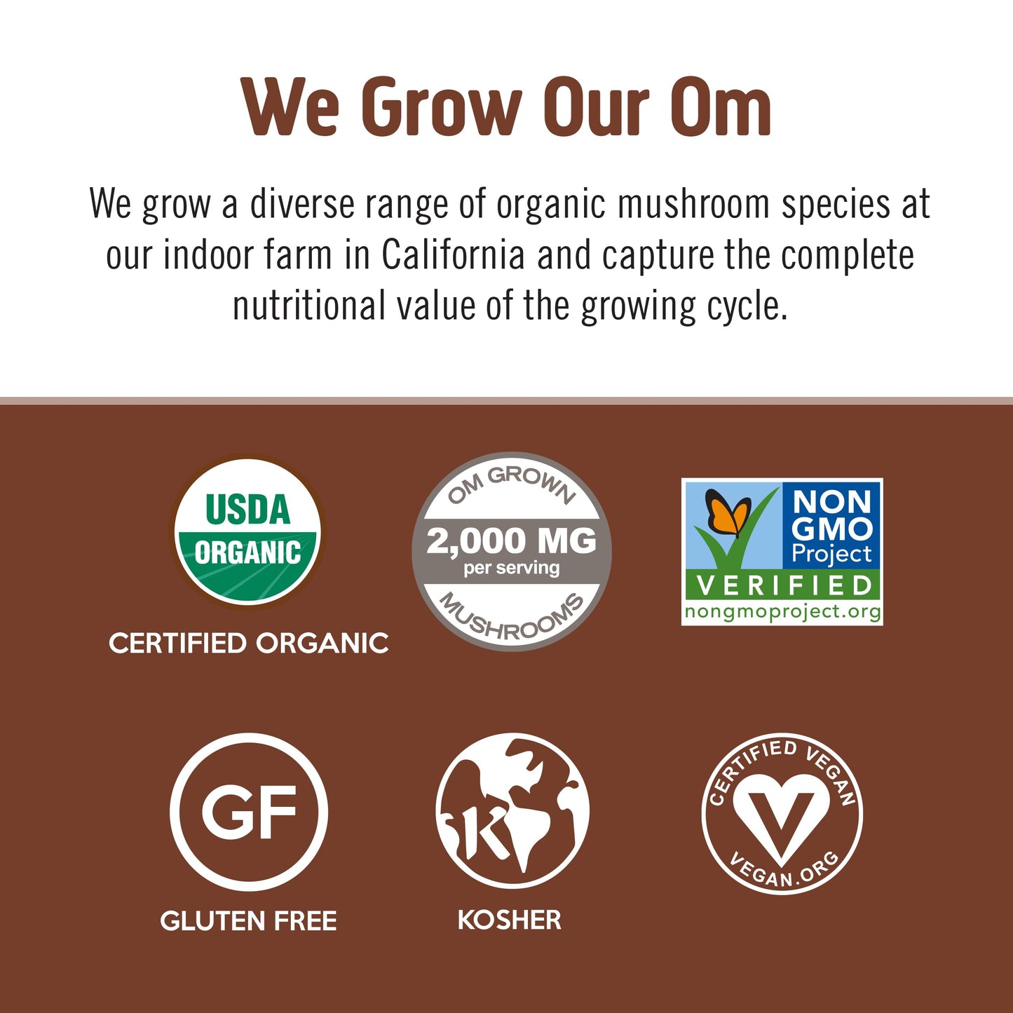 OM MUSHROOM SUPERFOOD Instant Coffe - Organic Arabica with Lion’s Mane, Cordyceps, Reishi, Turkey Tail & Ginkgo Biloba - Supports Energy, Focus