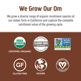 OM MUSHROOM SUPERFOOD Instant Coffe - Organic Arabica with Lion’s Mane, Cordyceps, Reishi, Turkey Tail & Ginkgo Biloba - Supports Energy, Focus