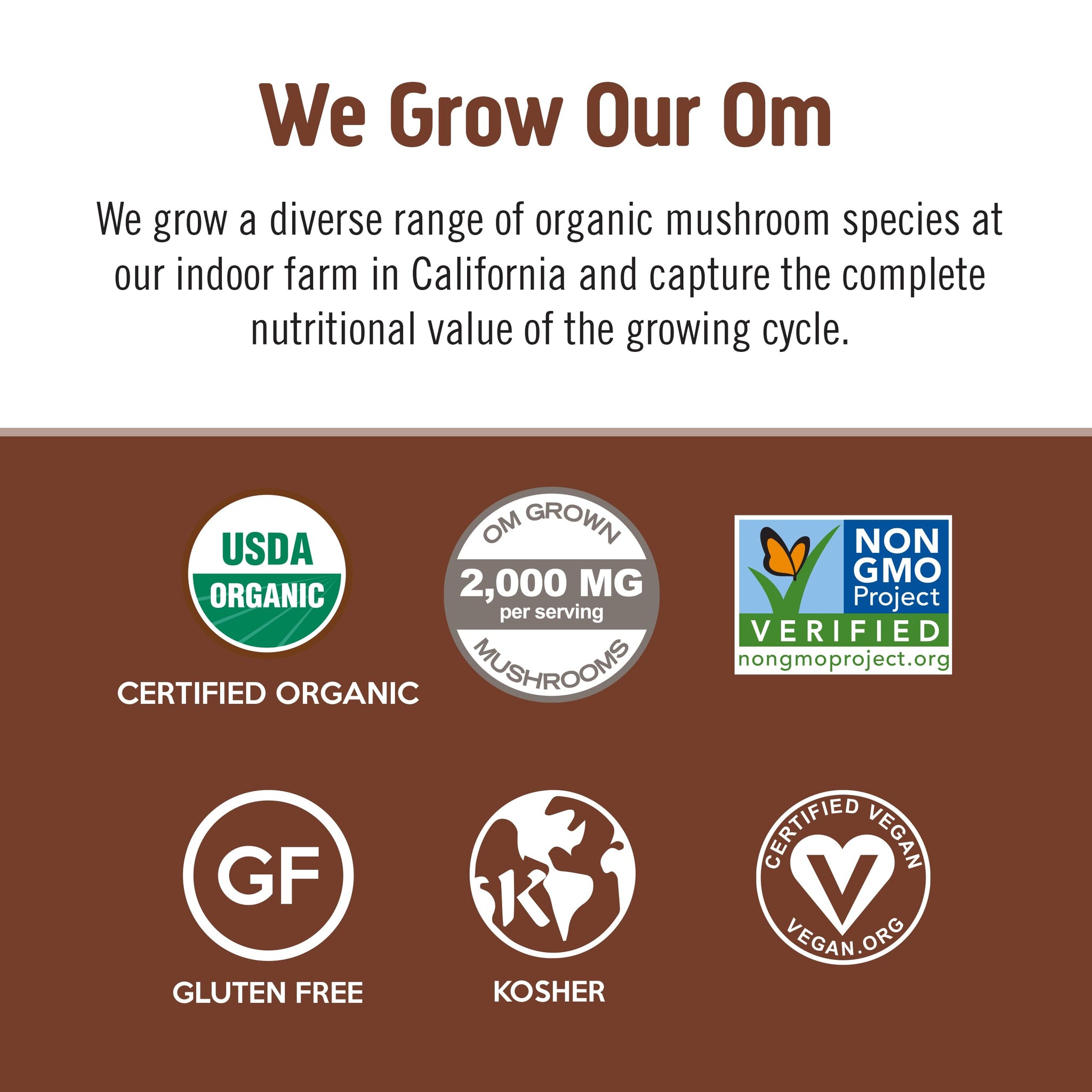 OM MUSHROOM SUPERFOOD Instant Coffe - Organic Arabica with Lion’s Mane, Cordyceps, Reishi, Turkey Tail & Ginkgo Biloba - Supports Energy, Focus
