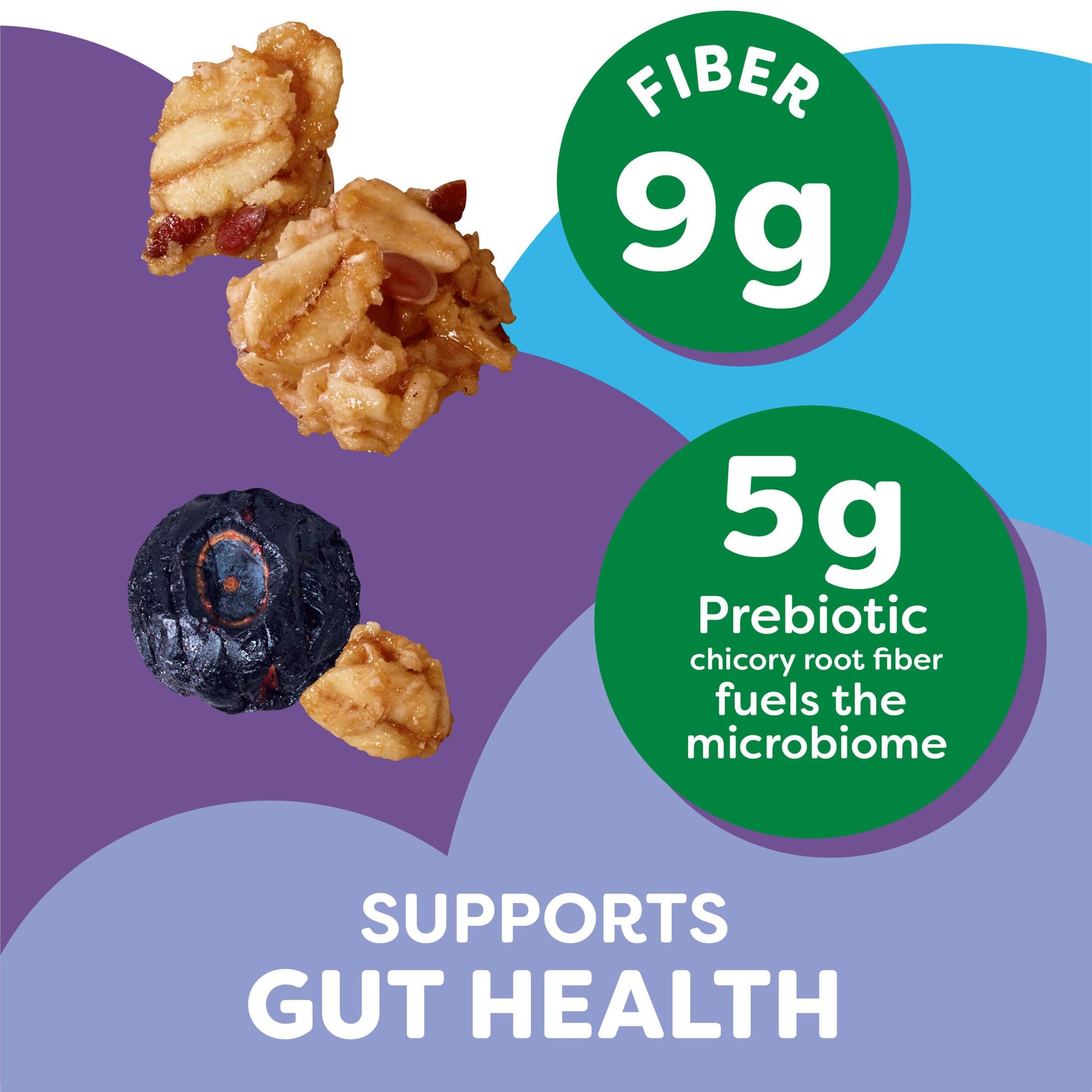 Kashi Gut Health Blueberry Almond Granola, Prebiotics and High Fiber, Whole Grain, 8 oz