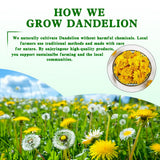 ZenVitality Dandelion Leaf and Root Tea?50 Bags?100% Certified Organic/Decaffeinated Naturally beneficial for liver/blood pressure/blood