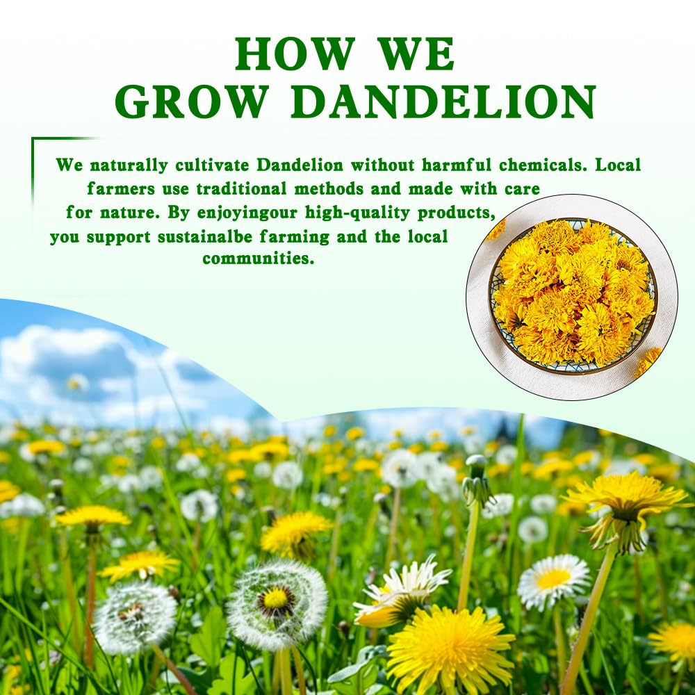 ZenVitality Dandelion Leaf and Root Tea?50 Bags?100% Certified Organic/Decaffeinated Naturally beneficial for liver/blood pressure/blood