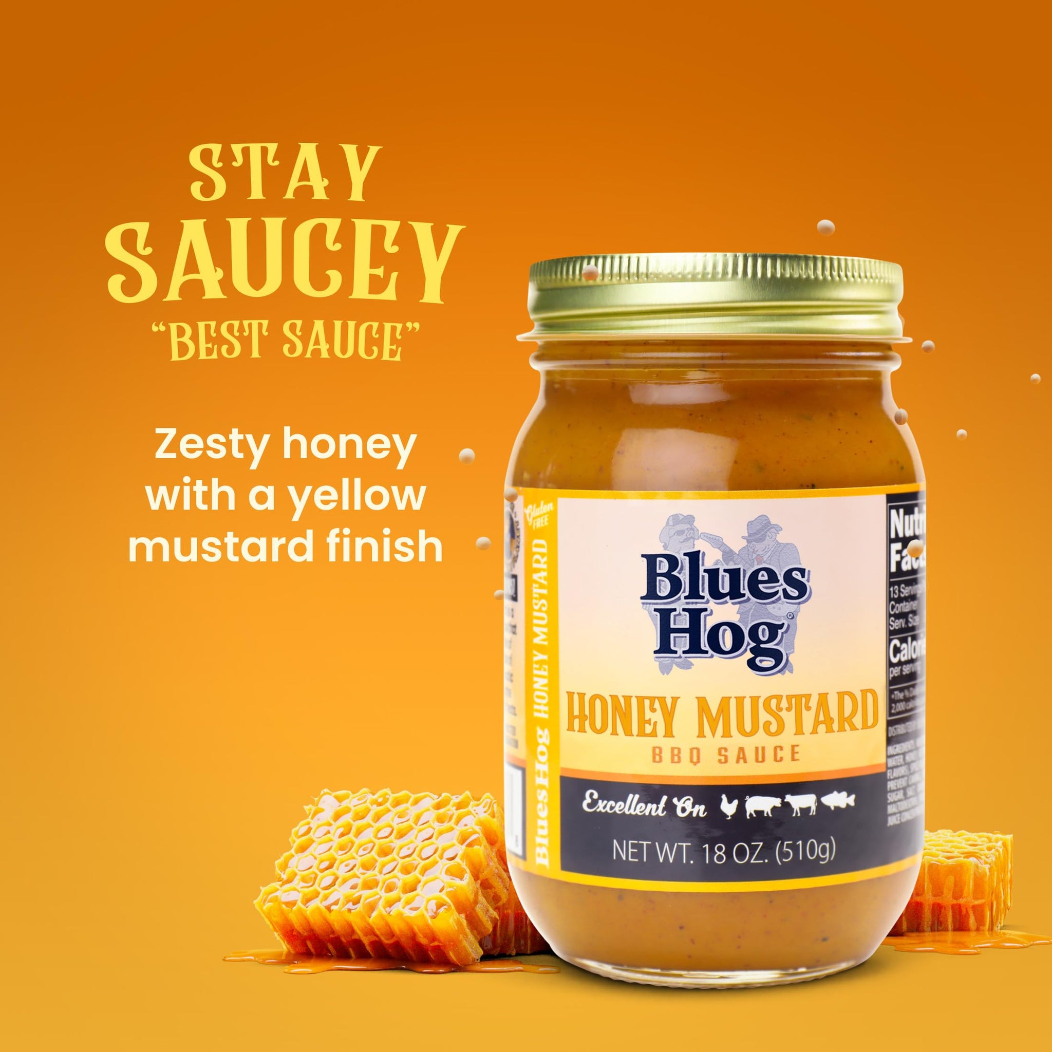 Blues Hog Honey Mustard Sauce, Sweet Honey & Zesty Mustard Gourmet BBQ Sauce Gluten-Free, Made in the USA, 18 oz