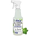 Mighty Mint All-Purpose Cleaner Spray - Plant-Based, Multi-Surface Cleaning for Kitchen, Bathroom & Home - Cuts Grease, Dirt & Grime - Peppermint