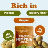 Food to Live Organic Dry Roasted Pumpkin Seed Kernels, 8 Ounces - Non-GMO, Unsalted, Oven Roasted Whole Pepitas, No Oil Added, Shelled, Vegan, Kosher
