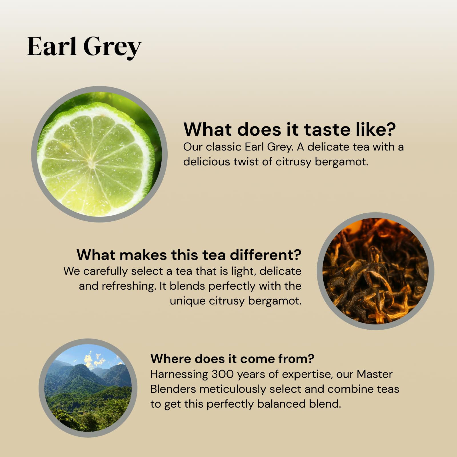 Twinings Earl Grey Tea | Full & Fragrant Earl Grey Tea Bags | Bergamot & Lemon Flavoured Black Tea Blend | 40 Biodegradable Tea Bags