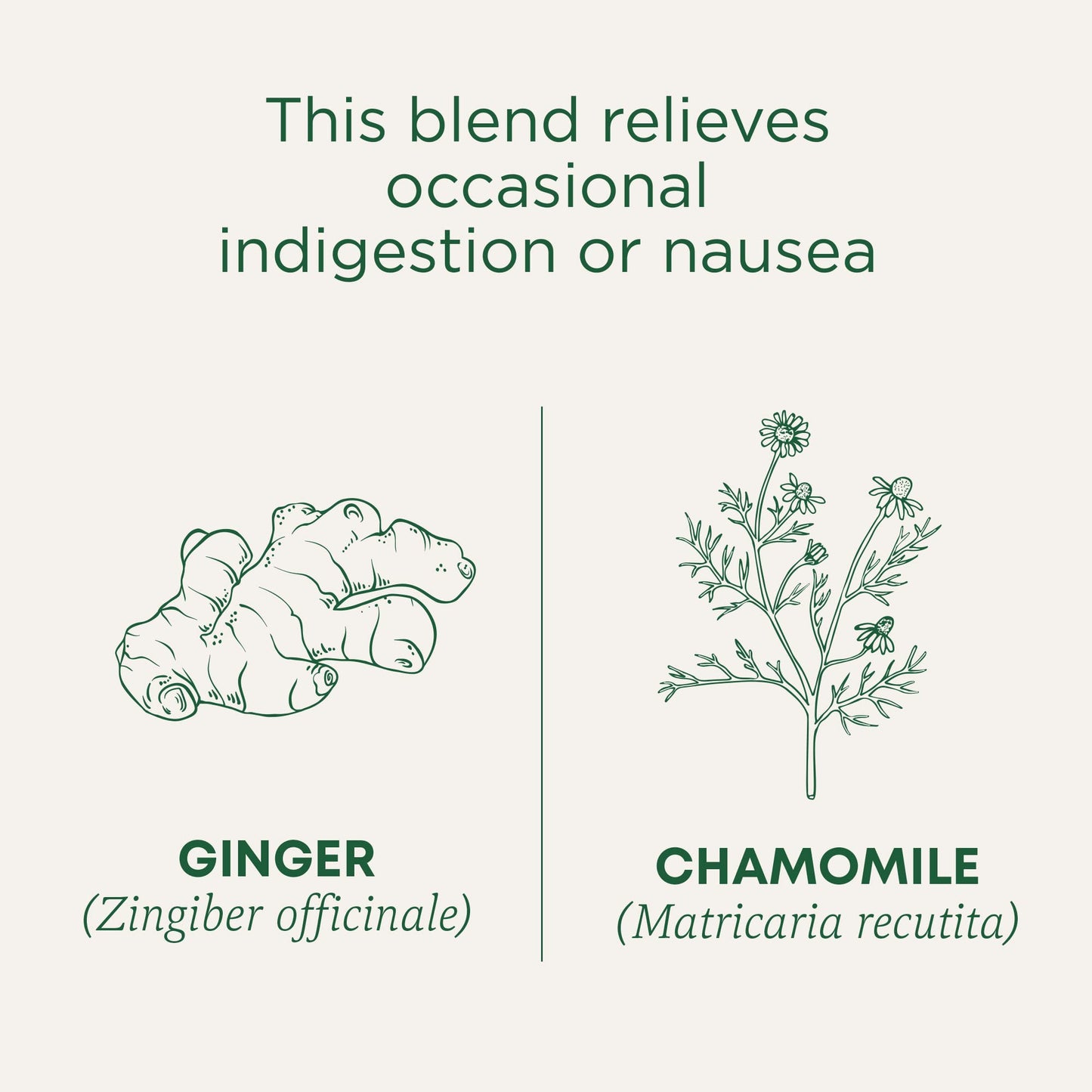 Traditional Medicinals Tea, Organic Ginger & Chamomile - Occasional Nausea & Indigestion Relief - Kosher, Non-GMO, Caffeine-Free - 16 Tea Bags